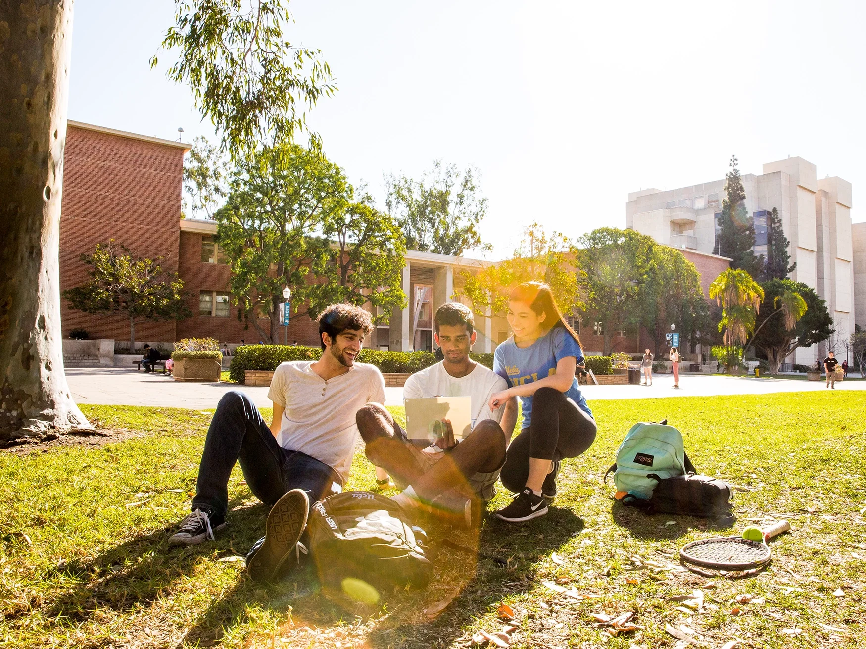 Students on grass talking