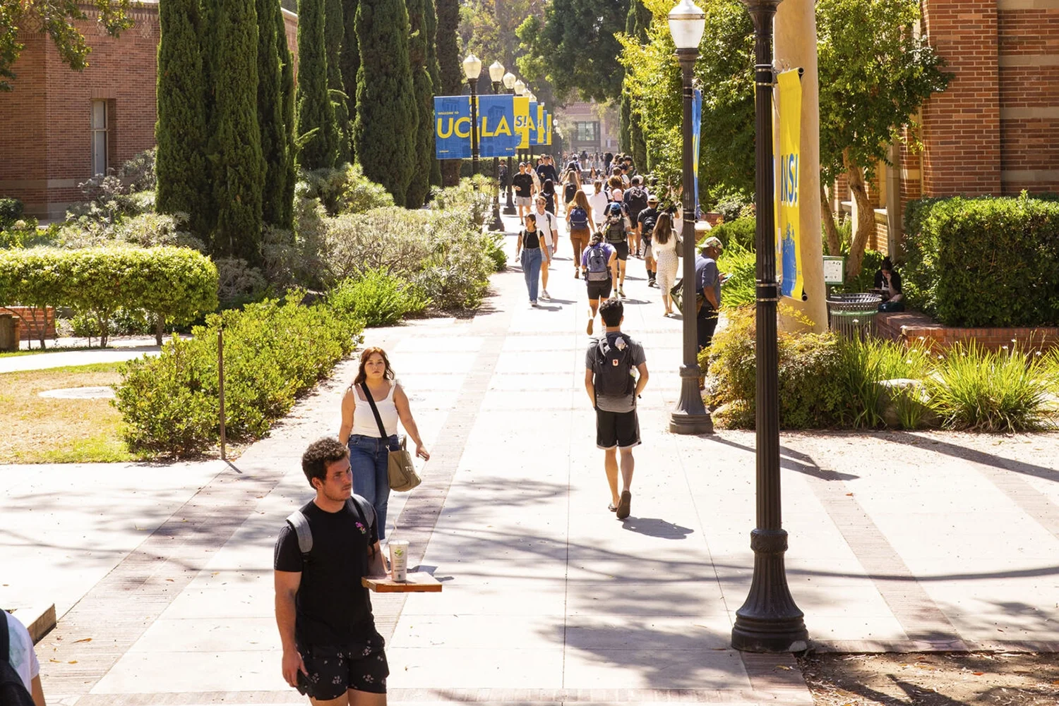 Students walking on UCLA campus